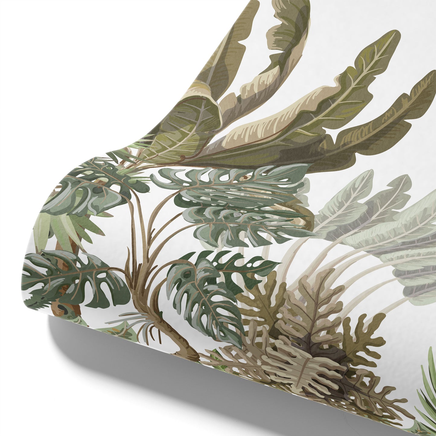 Fototapete Dschungelpflanzen