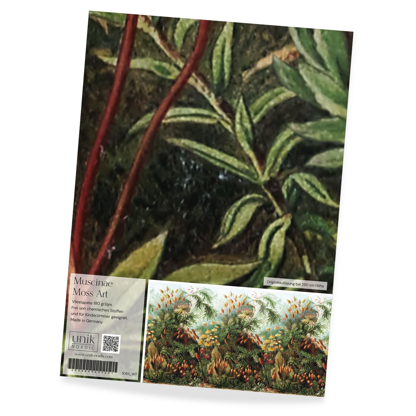 Muster Fototapete Muscinae Moss Art
