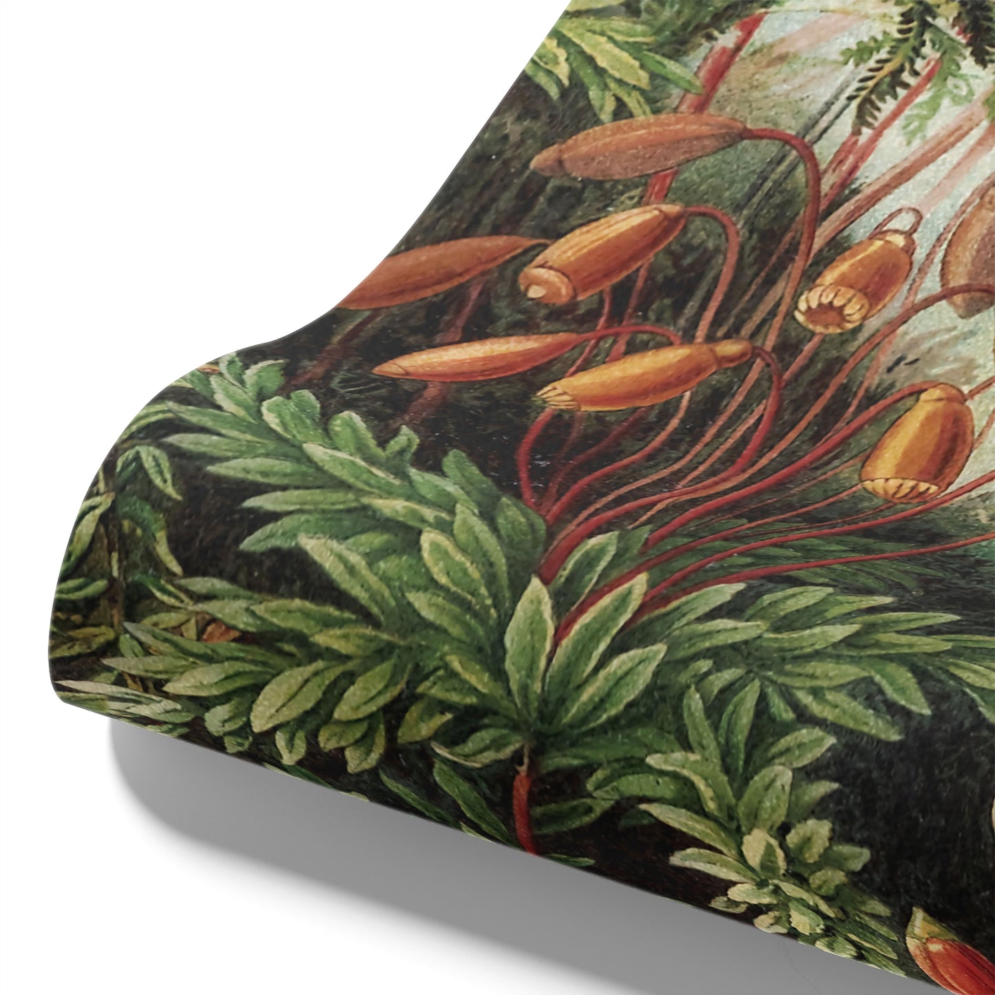 Maßangefertigte Vliestapete mit botanischem Moos-, Blumen- und Blätterdesign in Vintage-Stil.