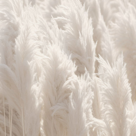 Maßangefertigte Vliestapete mit flauschigem Pampasgras-Motiv in sanften Beige- und Cremetönen im Schlafzimmer.