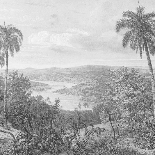 Fototapete mit Bleistift Landschaft im tropischen Stil.