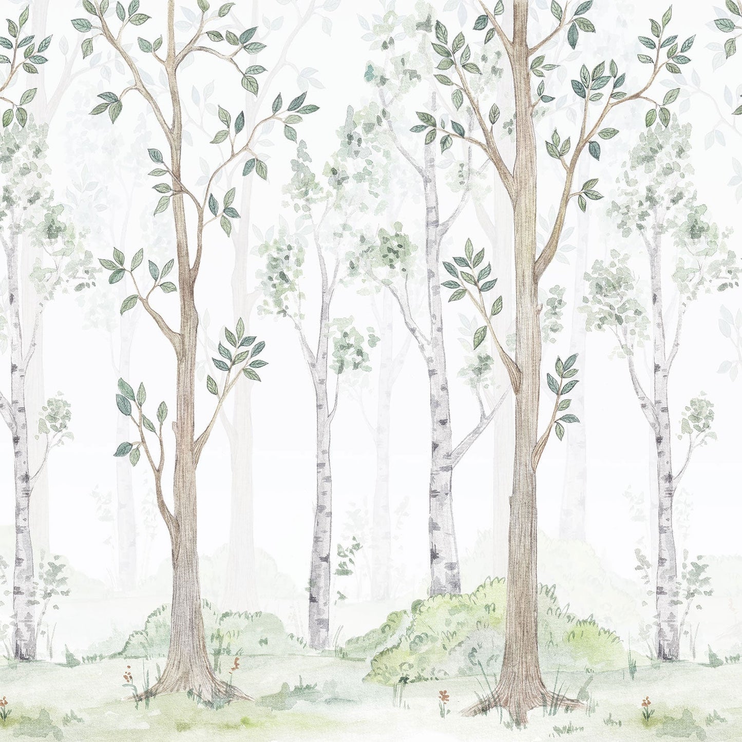 Children's Wallpaper Birch Forest Watercolor