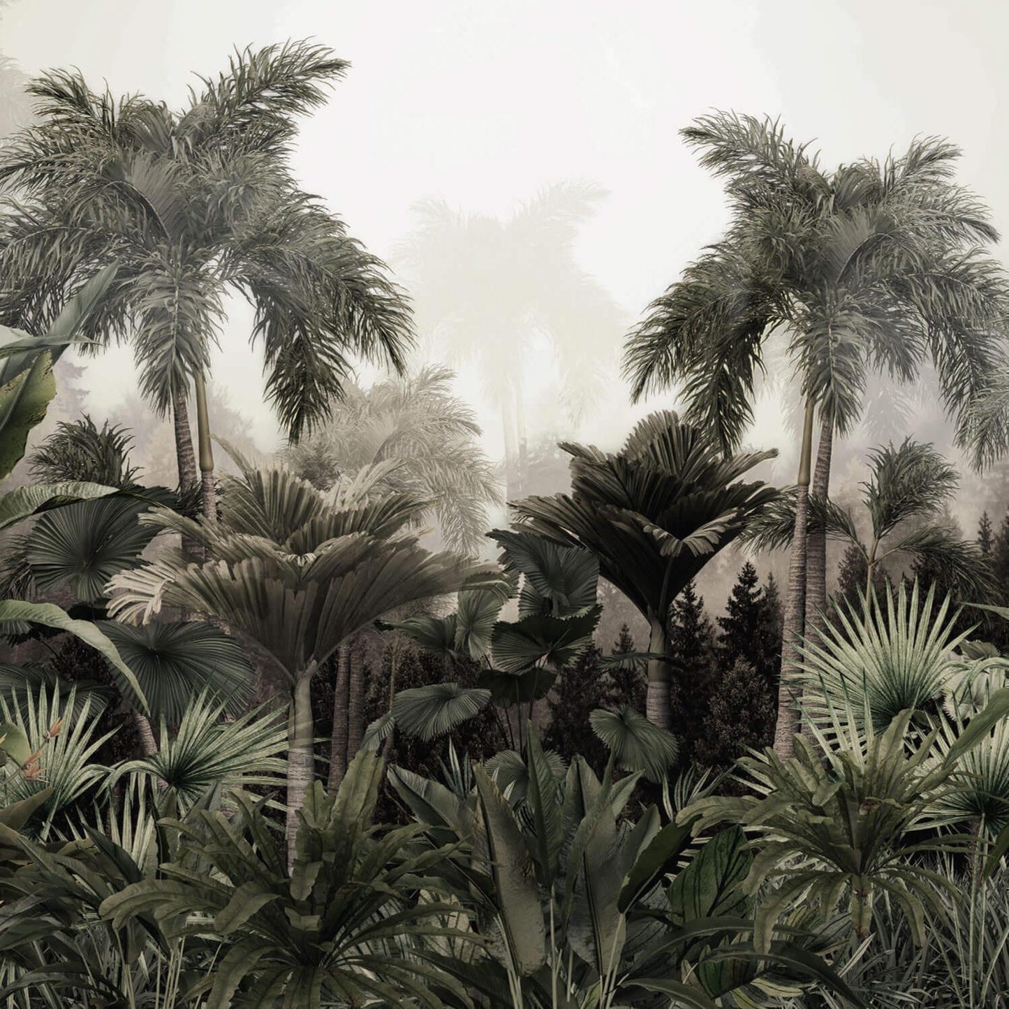Phtoto Wallpaper Jungle Landscape