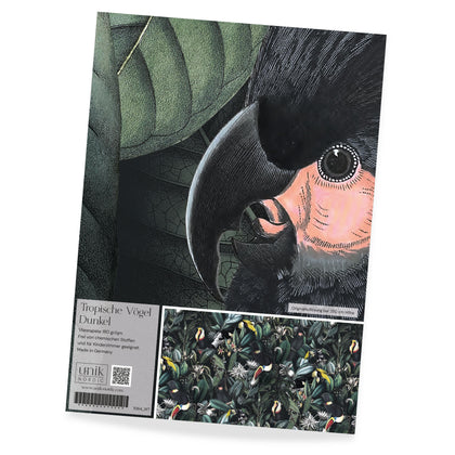 Papier peint photo à motifs d'oiseaux tropicaux sombres