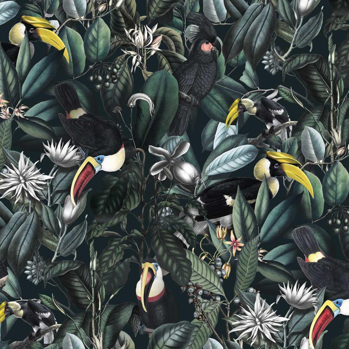 Photo Wallpaper Tropical Birds Dark