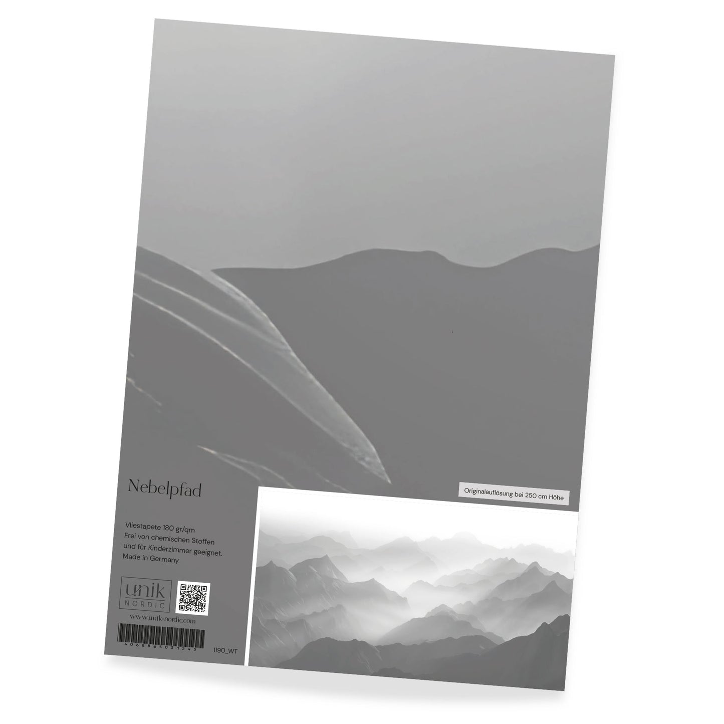 Papier peint photo motif chemin de brouillard