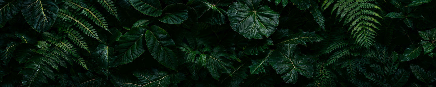 Feuille de cuisine Dark Tropics